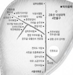 [이색거리 탐방] 관악구 ‘낙성대 길’