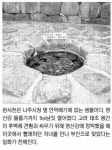 [땅끝마을에서 한양까지 다시 걷는 옛길] (4) 나주 영산포~청암역