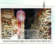 [오지로 떠나는 시간여행] (26) 경남 산청군 오봉마을