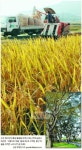 [HAPPY KOREA] (25) 남원시 대산면 ‘구름다리 마을’