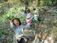 숲속 유치원 인기 ‘짱’이에요