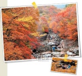 [Let’s Go] 지리산 피아골