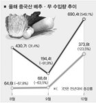중국 배추의 습격