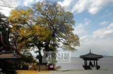 ‘바다를 품은 사찰’ 김제 망해사