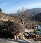 [지리산 산마을 이야기] (16) 전북 남원시 산내면 팔랑마을