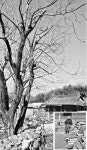 [지리산 산마을 이야기] 전북 남원시 주천면 고촌마을