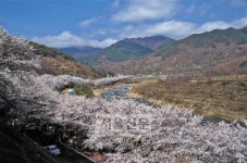 [지리산 산마을 이야기] (24)경남 하동군 화개면 호동마을