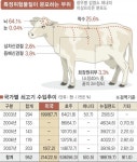 [커지는 광우병 논란] 도축장 승인권 美로,왜?