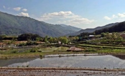 [지리산 산마을이야기]<30> 전북 남원시 산내면 매동마을