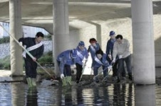 [Seoul In] 4일 성북천 살리기 정화활동