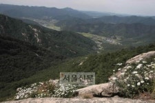 [현진오의 꽃따라 산따라] (30) 경북 문경시 조령산