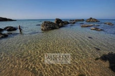 강원 삼척 새천년도로에서 온 ‘가을 편지’