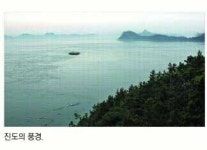 [현진오의 꽃따라 산따라](36)전라남도 진도