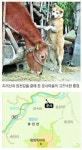 [지리산 산마을 이야기] 경남 함양군 휴천면 운서마을