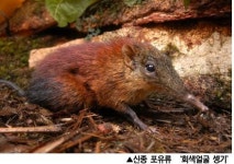 와이어드 선정 2008 ‘신종 생물체’ 베스트10