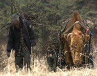10만 돌파 ‘워낭소리’ 노부부, 지나친 관심에 홍역