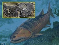 4억 1900만년 전 어류화석 中서 발견