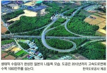 세일경영.조경컨설팅 | [그린경영-한국도로공사] 고속도로변 수목 1000만그루 심기로