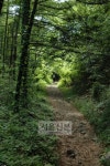 [Let´s Go] 경북 영주 죽령 옛길