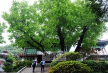 [도시와 산] (11) 천안 광덕산