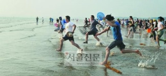 태안 청포대 해수욕장 ‘맨발 마라톤대회’를 아시나요