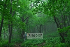 [진우석의 걷기좋은 산길](29)가평군 아재비고개