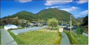 [HAPPY KOREA] 전남 함평군 나비연꽃마을