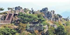 [도시와 산]부산 황령산