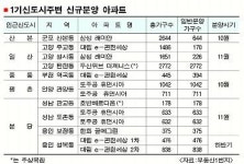 “길 건너면 신도시… 편의시설 쉽게 이용”