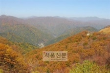 [진우석의 걷기 좋은 산길] (43) 양양 구룡령 옛길