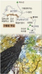 [진우석의 걷기 좋은 산길] (43) 양양 구룡령 옛길