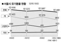[뉴스다큐 시선] 유기동물 보호소