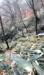 [도시와 산] 안성 칠현산