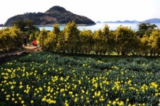 거제의 숨겨진 마지막 명소 ‘공곶이’