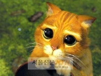 ‘슈렉’, 다음 주인공은? ‘장화신은 고양이’ 번외편