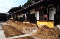 경북 안동포 마을