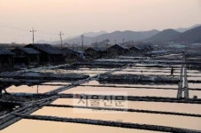 ‘오디’ ‘곰소염전’… 부안으로 웰빙여행