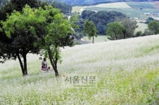 오지 절경 경북 봉화