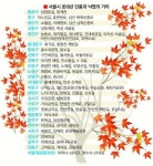 도심서 가을 정취 만끽
