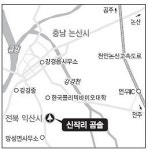[고규홍의 나무와 사람 이야기] (8) 전북 익산 망성 신작리 곰솔나무
