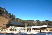 강원 평창, 상쾌한 산사의 향기 월정사