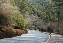 [부산광역시 : 서구 영도 태종대] 재미있는 설화들이 담겨 있는 태종대