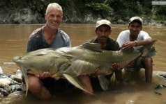 사람도 공격하는 ‘괴물 메기’ 인도마을 공포