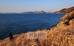 경남 통영 매물도…봄이 오는 길목 호젓한 나들이