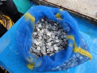 5000억대 보물선? 군산 앞바다 ‘출렁’