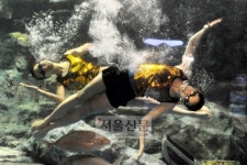 [이종원 선임기자 카메라 산책] ‘아쿠아리스트’의 세계를 가다