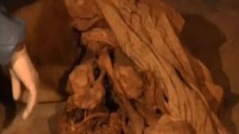 페루 길에서 20대 미라 발견돼 ‘화제’