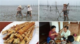 전남 무안 사람들의 ‘낙지잡이와 밥상’