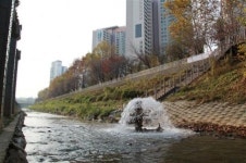 한강물 2만여t 수혈 물고기가 돌아온다