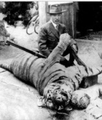 100년만에 ‘한국호랑이’ 혈통 찾았다 | 포토뉴스